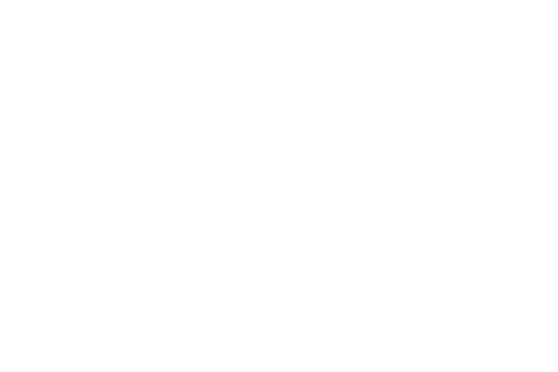 Logo TRAUM